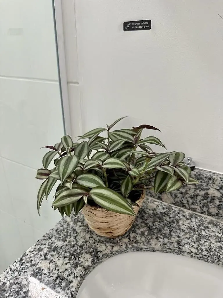 Apartamento Sossegado Studio No Bras Com Piscina/Metro Bras São Paulo